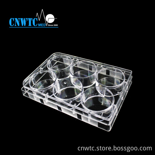 PS 6 Holes Laboratory Tissue Culture Plate